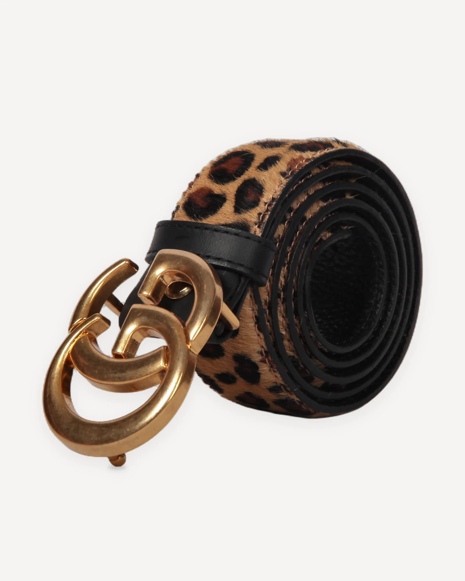 029 in Leopard
